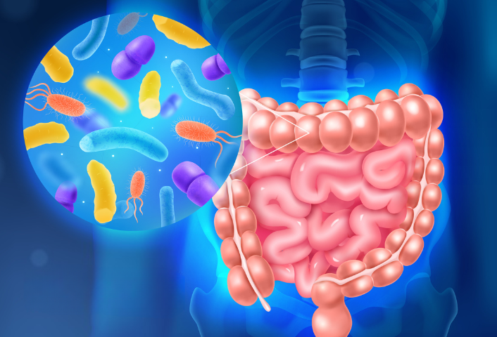 intestino probiótico portal
