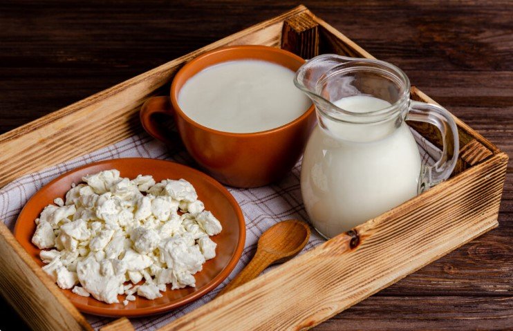 kefir microbiota
