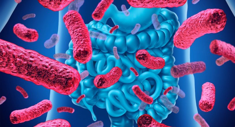 microbiota ....