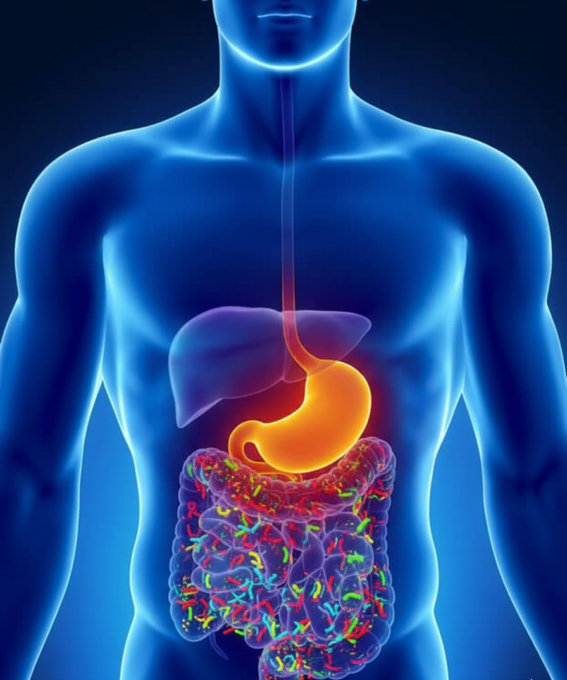 ProbioticosParaIntestino MelhoresProbioticos2025 ProbioticosNaturais SaudeIntestinal ProbioticosAmazon ProbioticosComprovados IntestinoInflamado